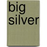Big Silver door Hubert Roos