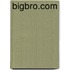 Bigbro.Com