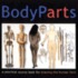 Body Parts