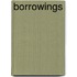 Borrowings