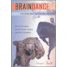 Braindance door Dean Falk