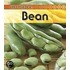 Broad Bean