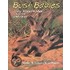 Bushbabies