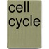 Cell Cycle