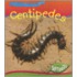 Centipedes