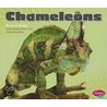 Chameleons by Lyn A. Sirota