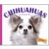 Chihuahuas