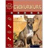 Chihuahuas