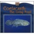 Coelacanth