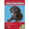 Dachshunds by D. Caroline Coile