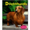 Dachshunds by Lisa Trumbauer