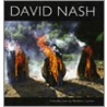 David Nash door David Nash