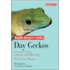 Day Geckos