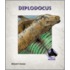 Diplodocus