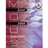 Excel 2000 door Marianne B. Fox
