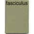 Fasciculus