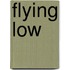 Flying Low