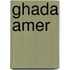 Ghada Amer