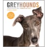 Greyhounds door Barbara Karant