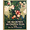 De bloemen in onzen tuin
