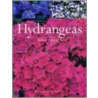 Hydrangeas by Pat Greenfield
