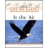 In The Air