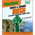 Irish, Q&s