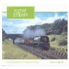 Kent Steam door Michael Welch