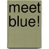 Meet Blue!
