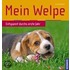 Mein Welpe