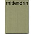 Mittendrin