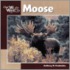 Moose -osi