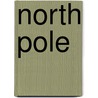 North Pole door Anthony Brandt