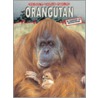 Orangutang door David Orme
