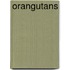 Orangutans
