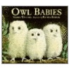 Owl Babies door Patrick Benson