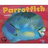 Parrotfish by Jody Sullivan Rake
