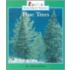 Pine Trees