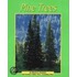 Pine Trees