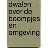 Dwalen over de Boompjes en omgeving
