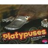 Platypuses by Sara L. Kras