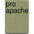 Pro Apache