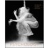 Psychology