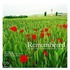 Remembered