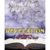 Revelation door Douglas Rustad