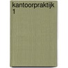 Kantoorpraktijk 1 door M.C. van der Klis