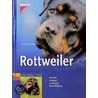 Rottweiler by Karl-Josef Drever