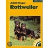 Rottweiler by Adolf Ringer