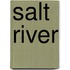 Salt River