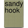Sandy Hook door Miriam T. Timpledon